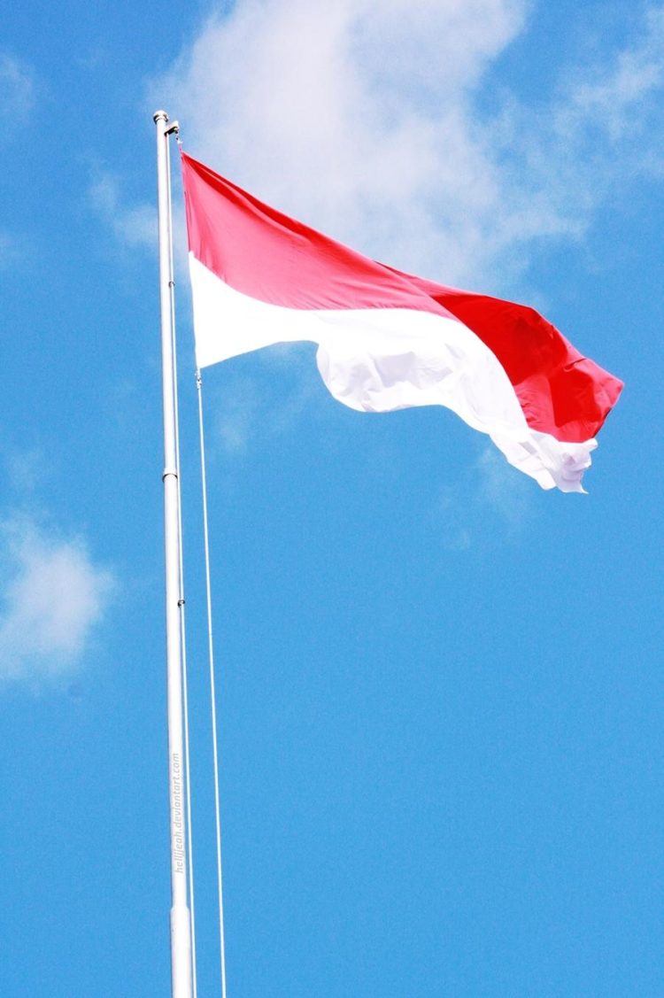 Bendera Merah Putih (GAMBAR, ARTI, SEJARAH, MAKNA, UKURAN)