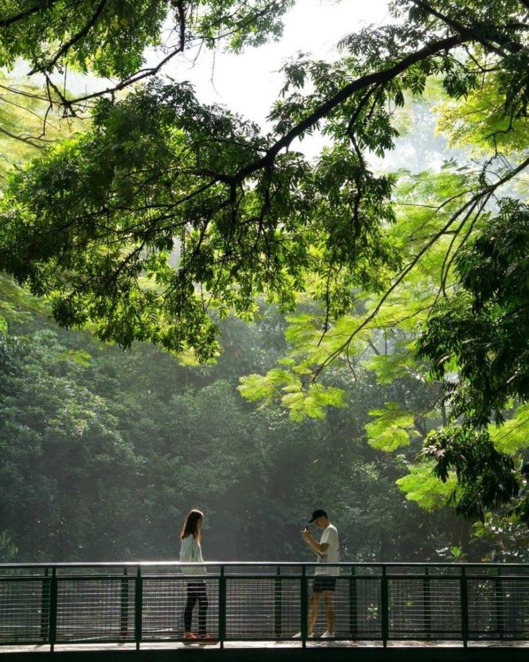 Интерфорест лес. Forest walk. Прогулка на природе. People walking in a forest. Walk in the forest.