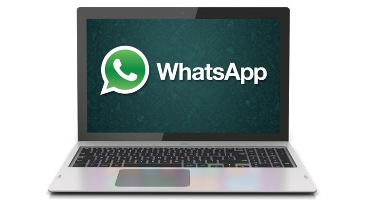 download whatsapp web apk