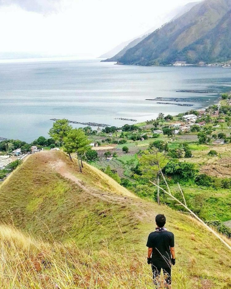 danau toba jenis danau