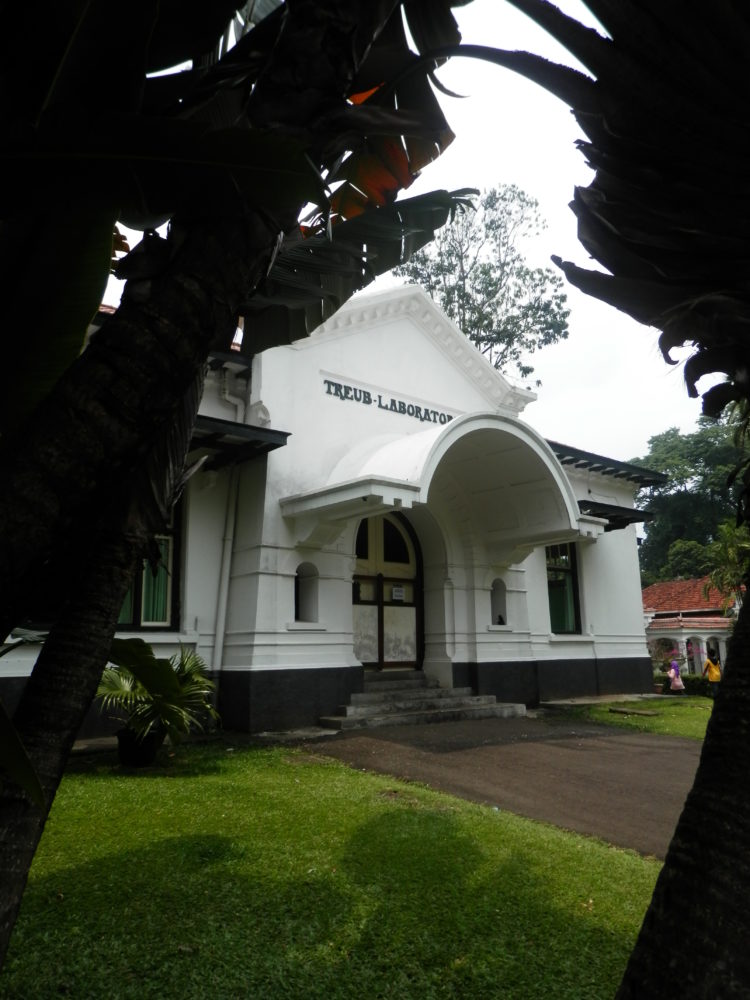 kebun raya bogor hari ini