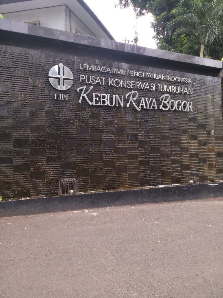 kebun raya bogor kota bogor jawa barat