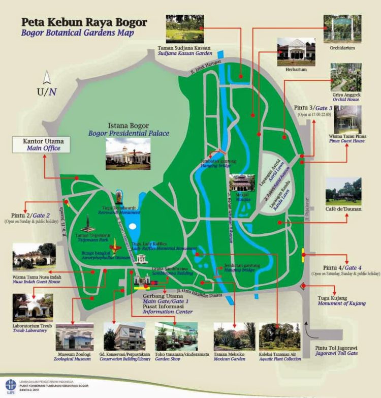 kebun raya bogor sejarah