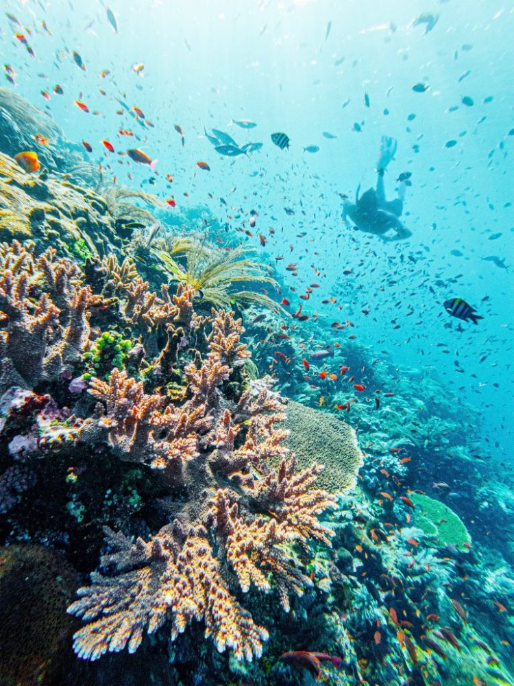 labuan bajo ke sumba