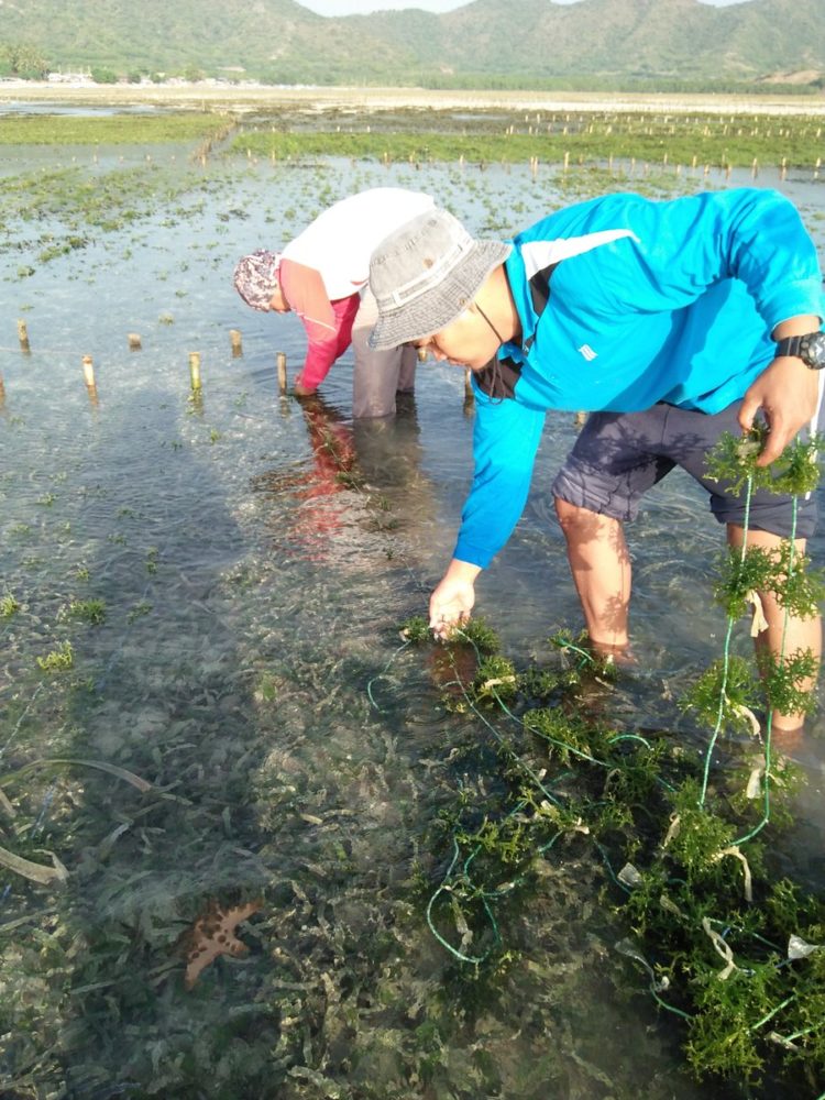 pantai pandawa kutuh