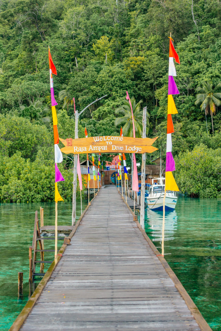 raja ampat ada di