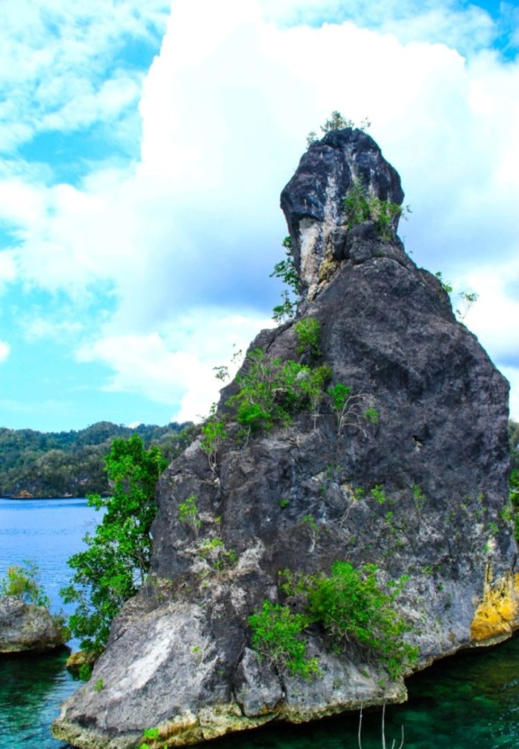 raja ampat bali