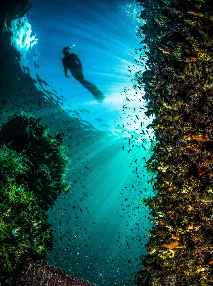 raja ampat berasal dari