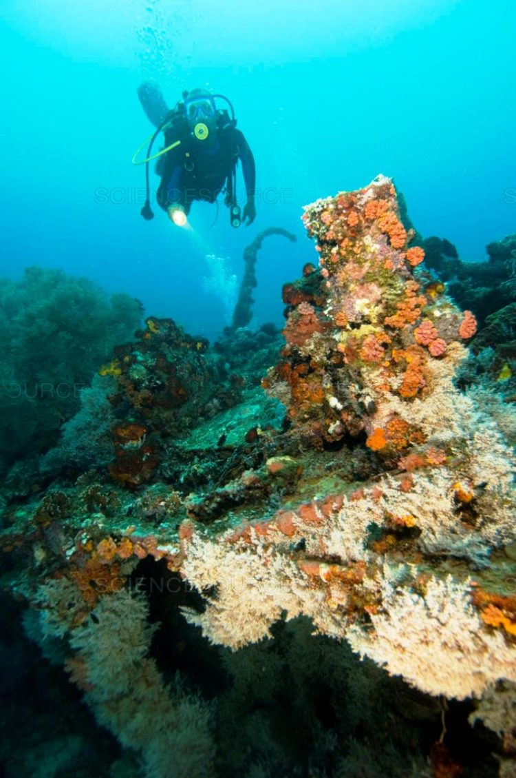 raja ampat caballa