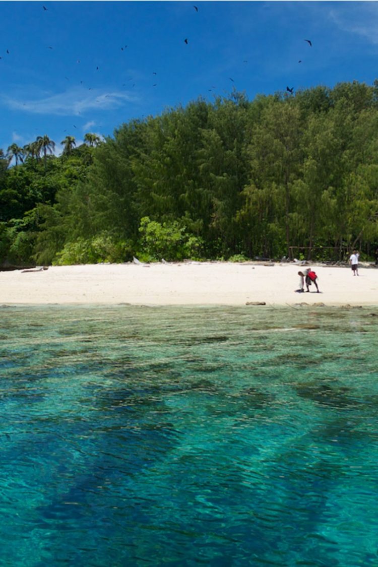 raja ampat di