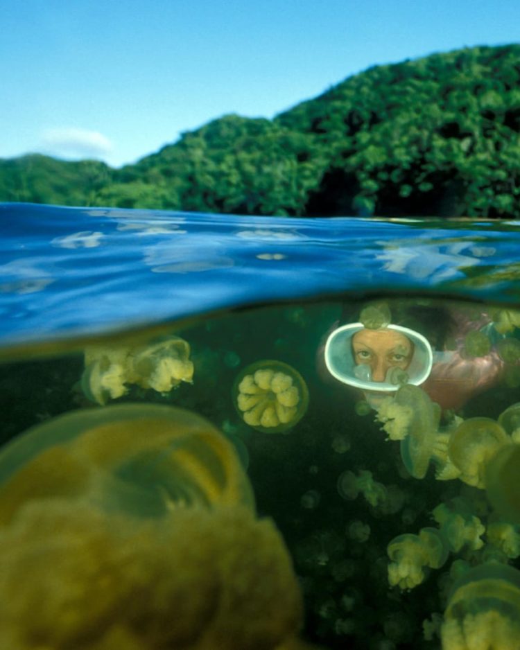 raja ampat malang