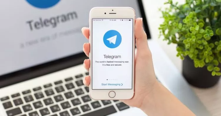 cara menggunakan telegram web