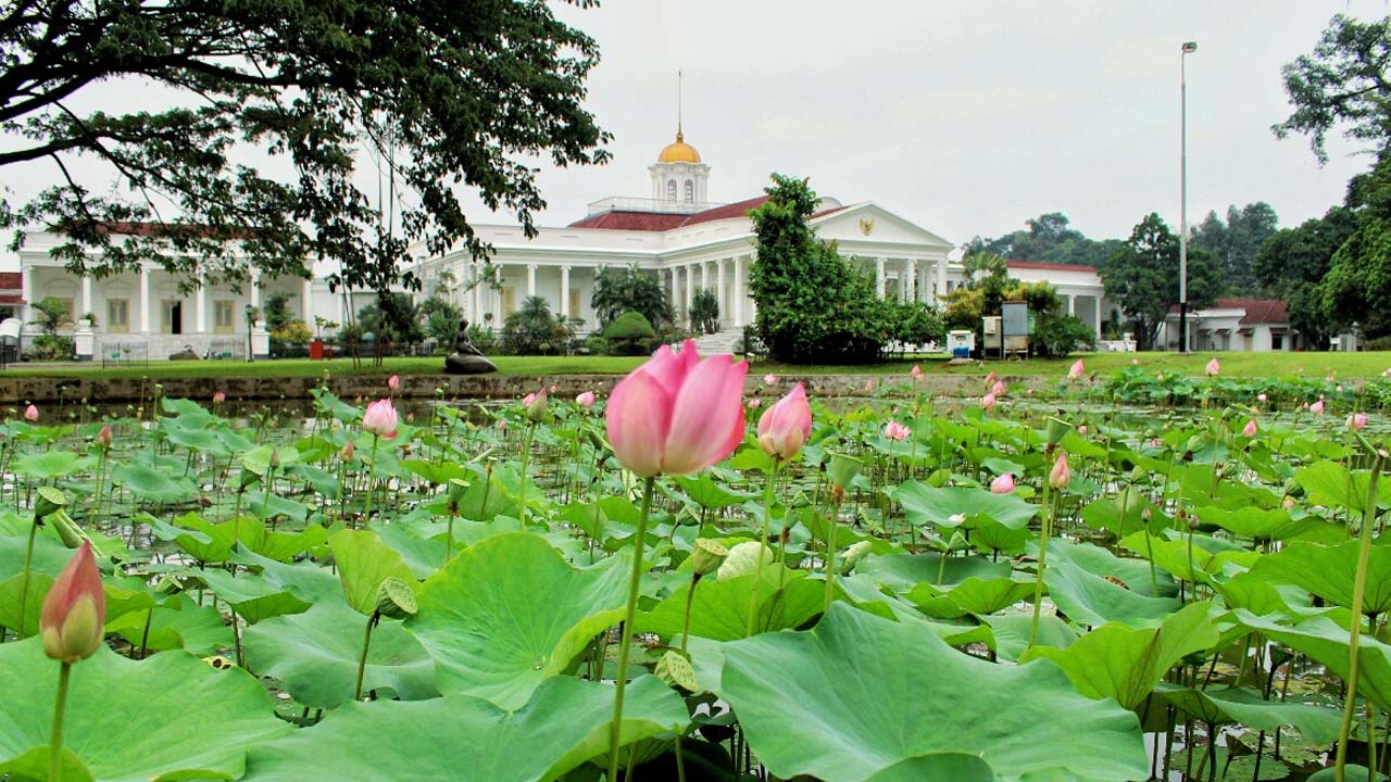 kebun raya bogor foto