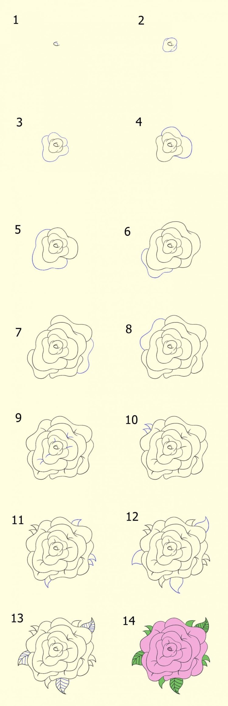 49 Gambar Sketsa Bunga Matahari Mawar Tulip Sederhana