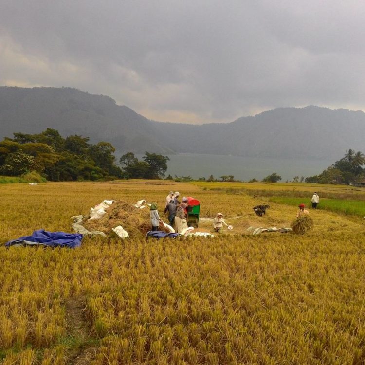 gotong royong iku sifat