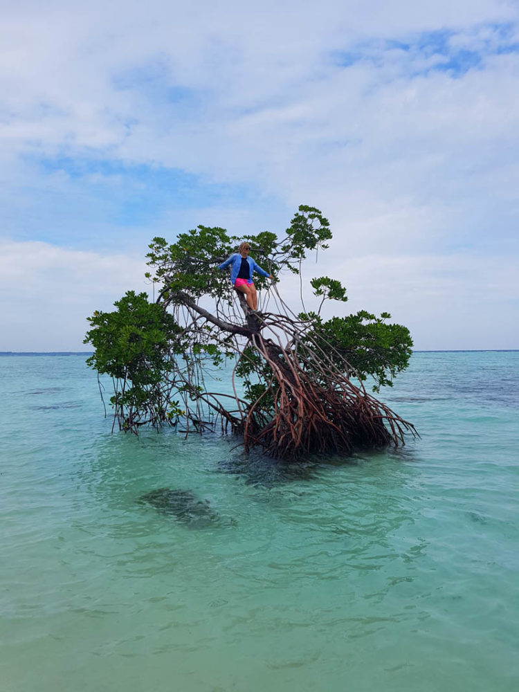 karimunjawa tour guide