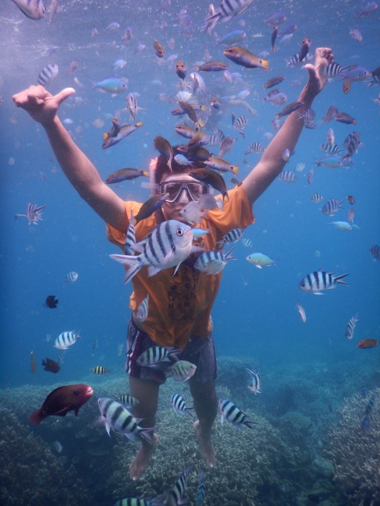 ke karimunjawa dari jepara