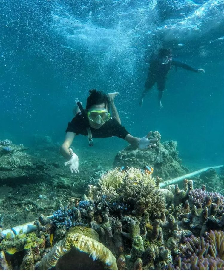 ke karimunjawa naik motor