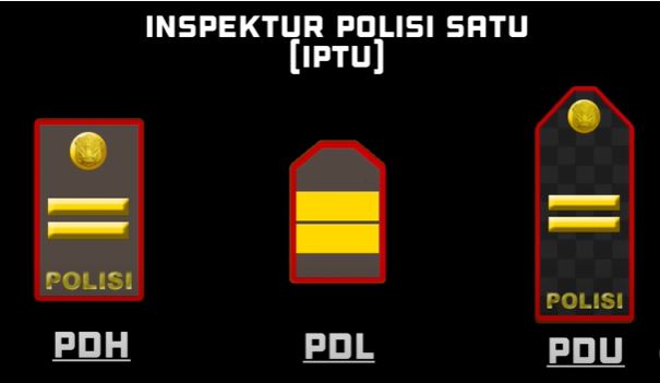 pangkat polisi di amerika