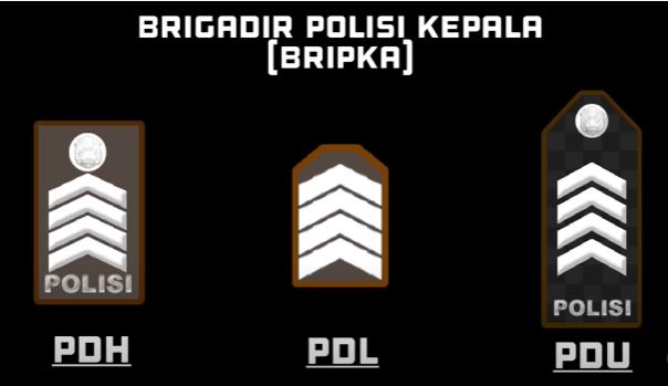 pangkat polisi balok empat