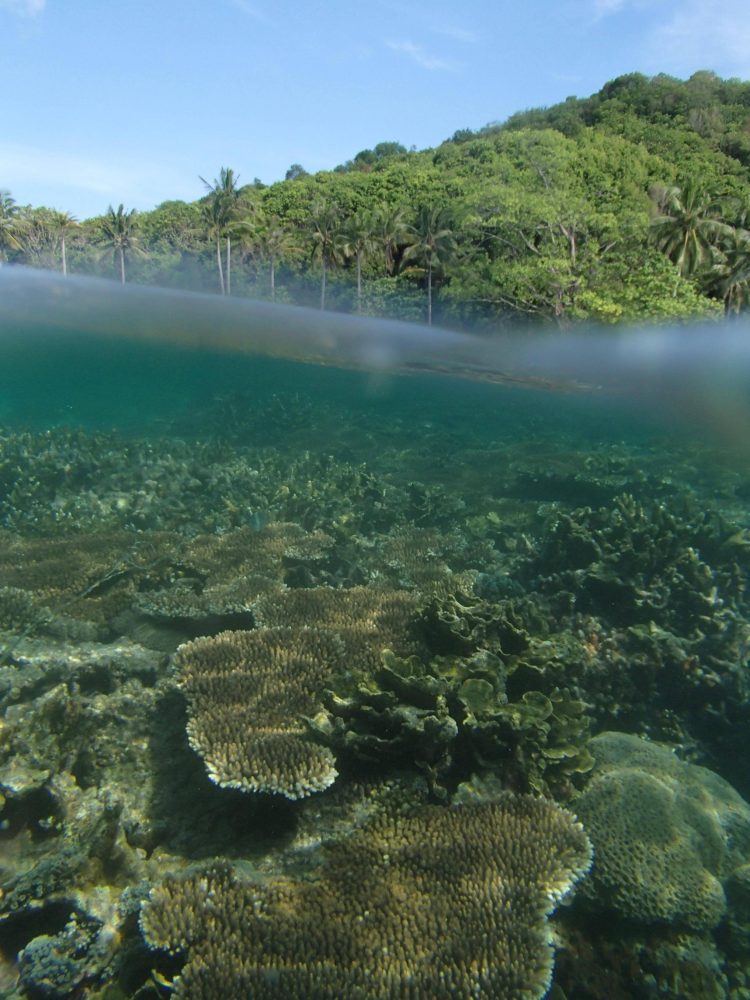 karimun jawa lebaran 2019