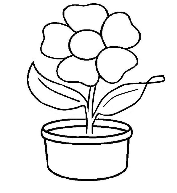 sketsa bunga anggrek sederhana