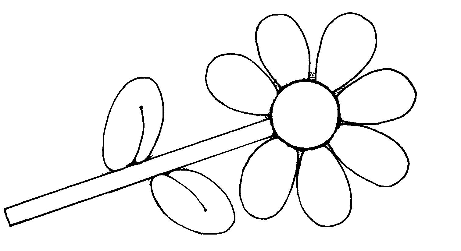 sketsa bunga sederhana berwarna