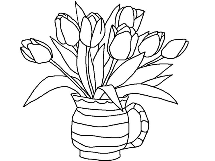 49 Gambar Sketsa Bunga Matahari Mawar Tulip Sederhana
