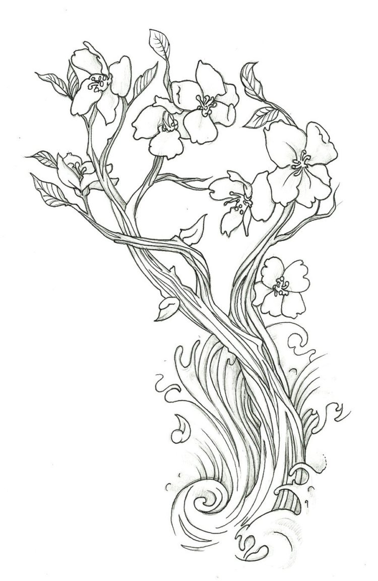 Sketsa Gambar Bunga Sakura Hitam Putih | Inapg Id