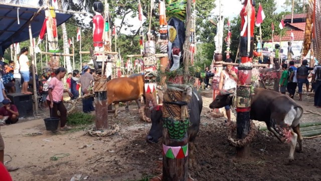 Kwangkai, Ritual pemakaman Suku Dayak