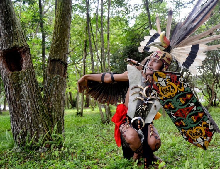 Panglima Burung Suku Dayak Kalimantan