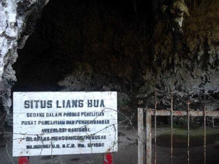 goa pemenuan fosimanusia purba kecil di indonesia