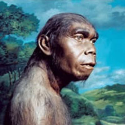 manusia purba di indonesia Meganthropus Paleojavanicus