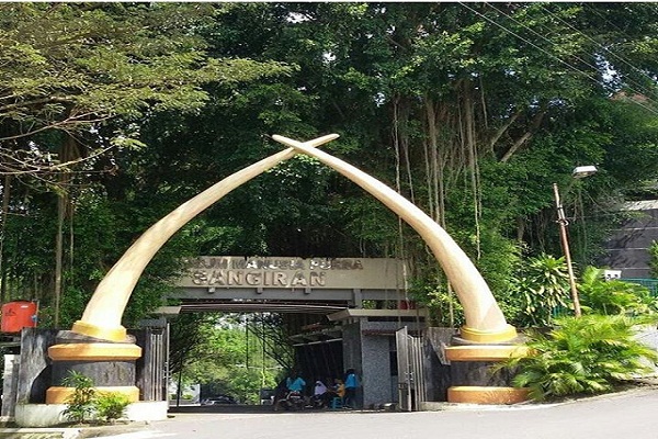 museum manusia purba di indonesia dengan desai modern