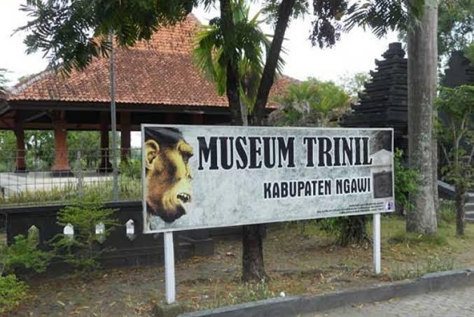 Napak Tilas Kehidupan Manusia Purba di Museum Trinil