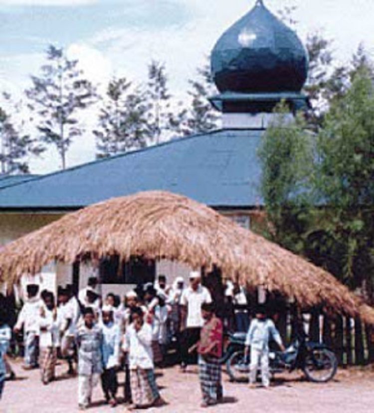 budaya kerajaan waigeo