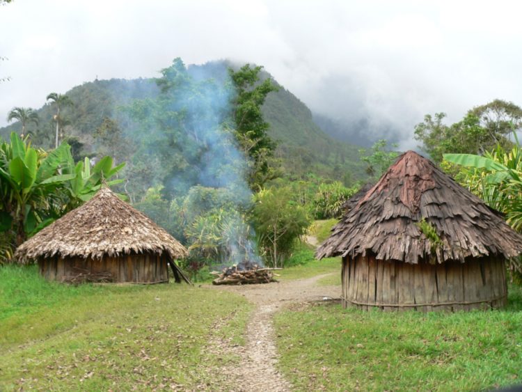 rumah adat papua dan keterangannya