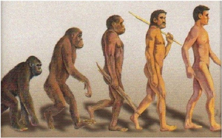 Evolusi Spesies Manusia Purba