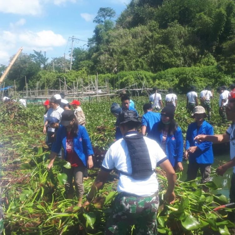 Eceng Gondok  CIRI MANFAAT KLASIFIKASI KERAJINAN dll 