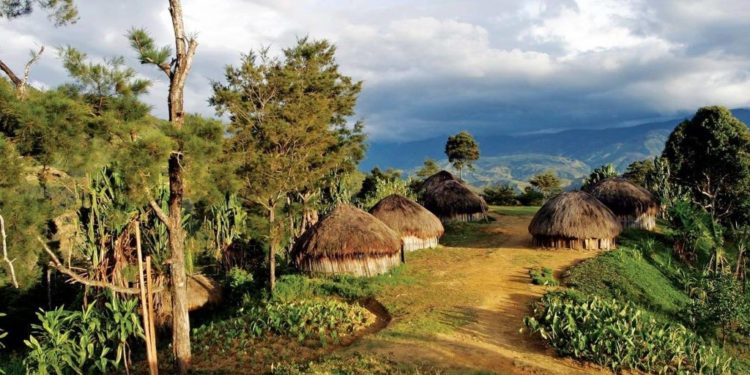 5 Rumah Adat Papua Barat Timur Honai Penjelasan