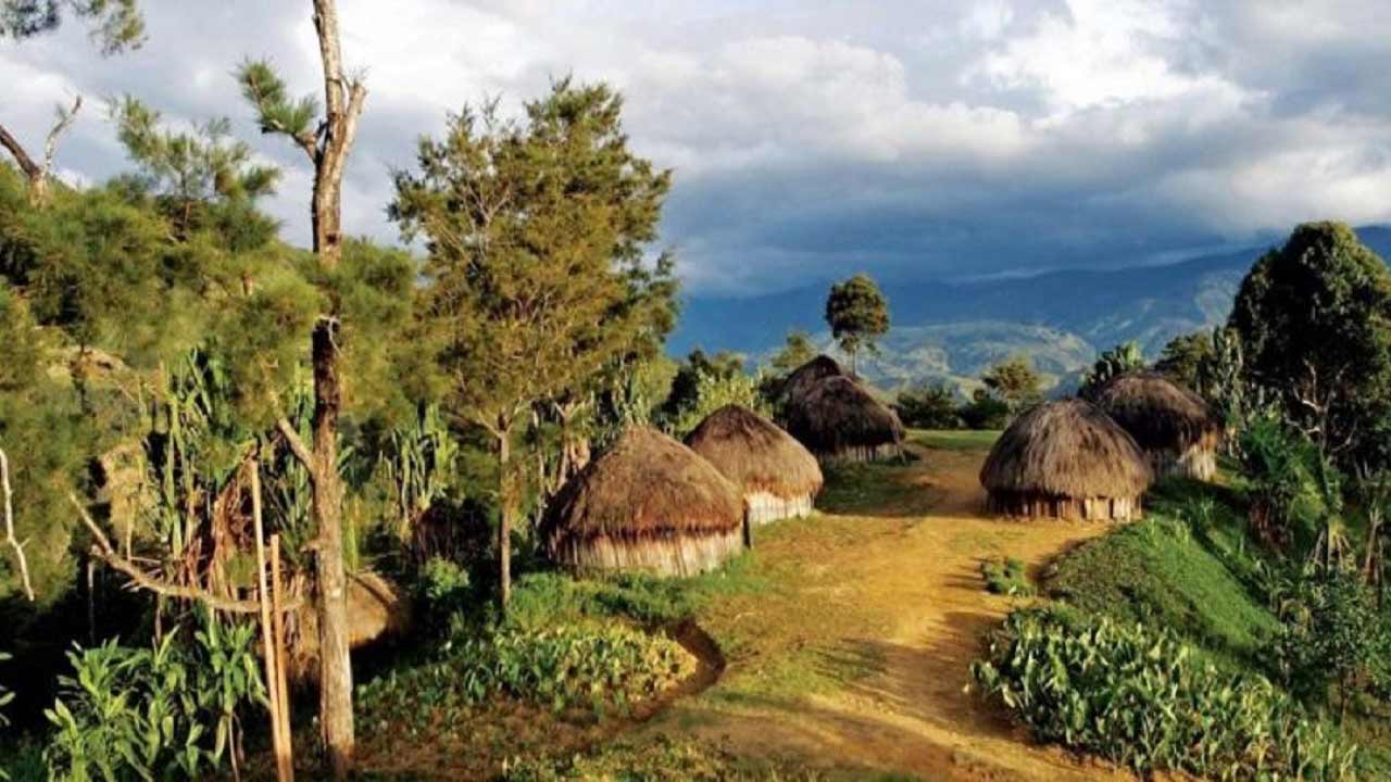 5 Rumah Adat Papua Barat & Timur Beserta Penjelasannya