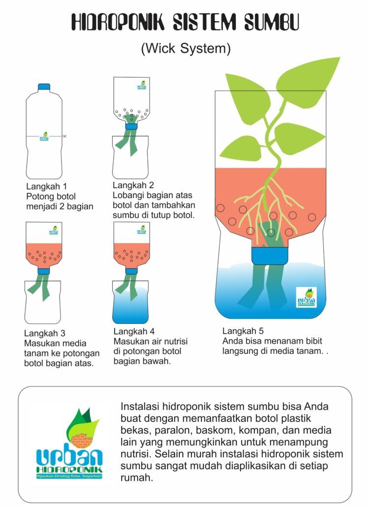 jenis tanaman hidroponik adalah