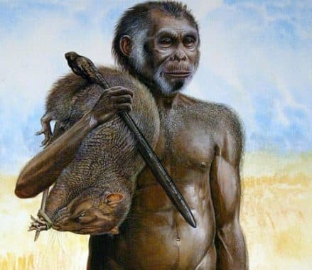 ciri-ciri manusia purba Homo-Wajakensis.