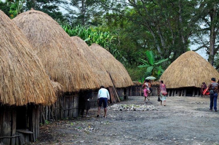 5 Rumah  Adat  Papua  Barat Timur Beserta Penjelasannya