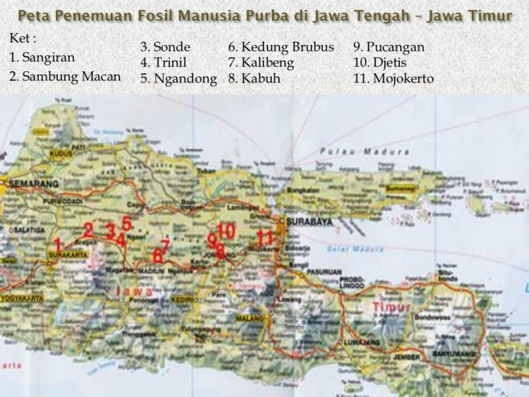 peta persebaran manusia purba di indonesia 