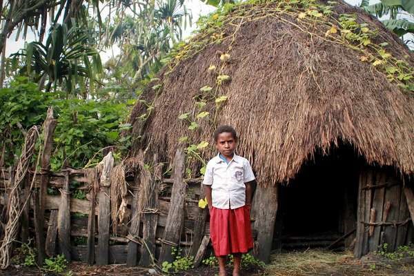 macam macam rumah adat papua