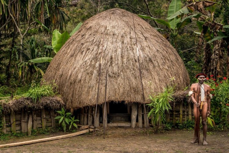 pengertian rumah adat papua