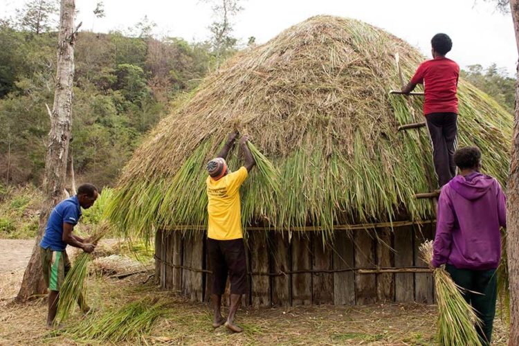 sejarah rumah adat papua