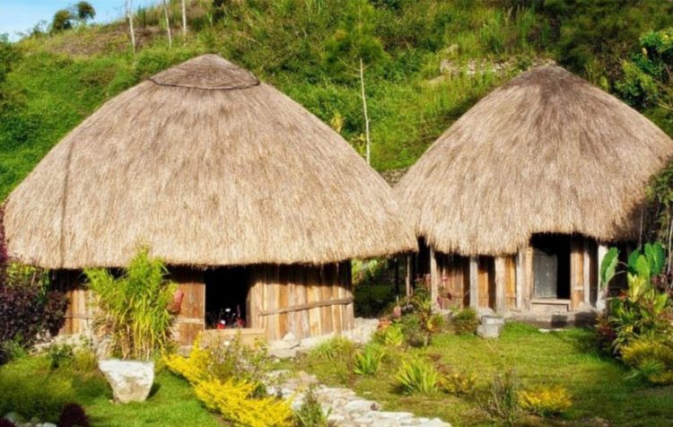 nama nama rumah adat papua