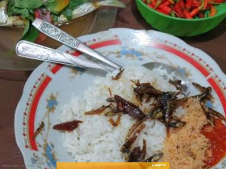 gambar Makanan khas maluku Nasi Kalapa